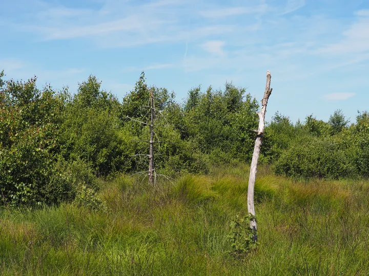 Signal de Botrange (Belgium)